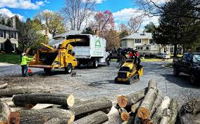 Best Emergency Tree Removal  in Redondo Beach, CA